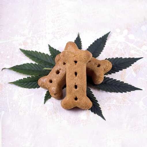 prop-21
